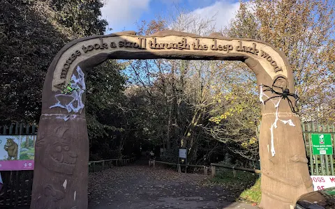 Colin Glen River Entrance image