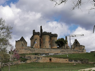Château du tatoué à Saint-Vincent-le-Paluel