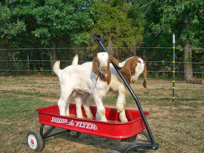 Triple E Boer Goats