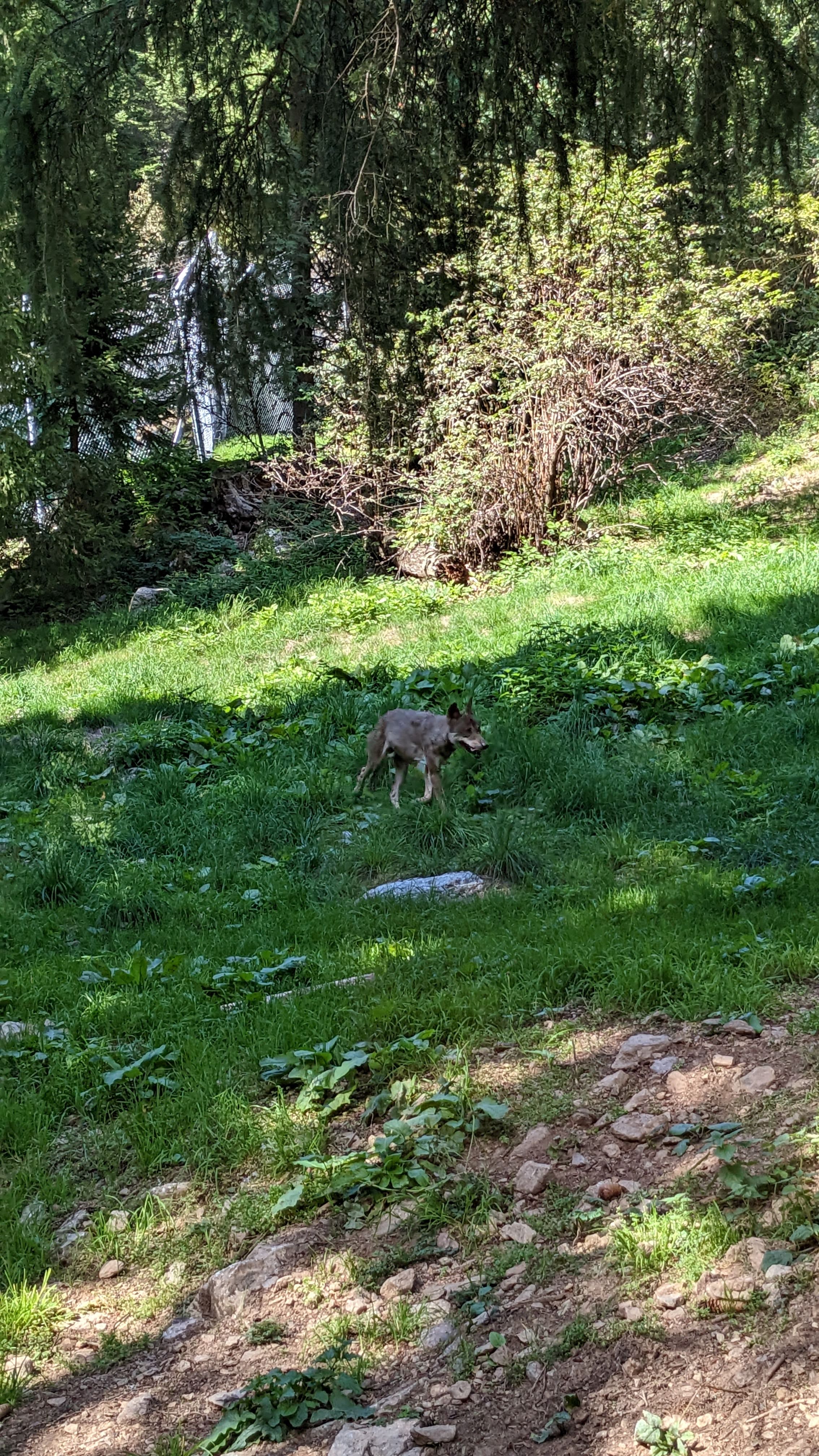 Photo n° 18 de l'avis de Florian.o fait le 11/09/2022 à 15:52