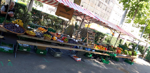 Wochenmarkt Bürkliplatz