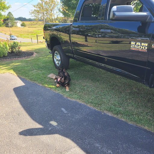 Used Car Dealer «Wessels Used Cars», reviews and photos, 745 Harrisburg Pike, Dillsburg, PA 17019, USA