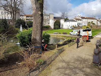 Charente Elagage - Charente Clôtures à Garat