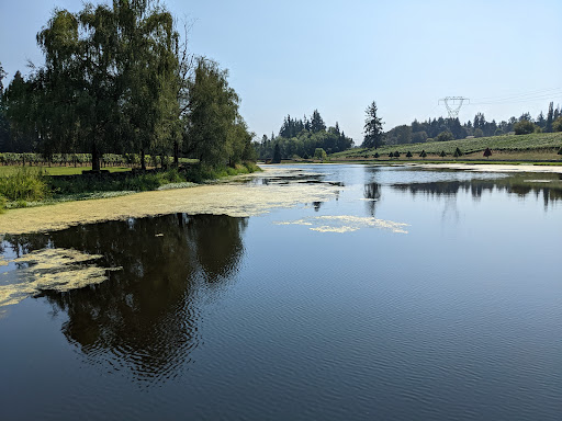 Winery «Bethany Vineyard & Winery», reviews and photos, 4115 NE 259th St, Ridgefield, WA 98642, USA