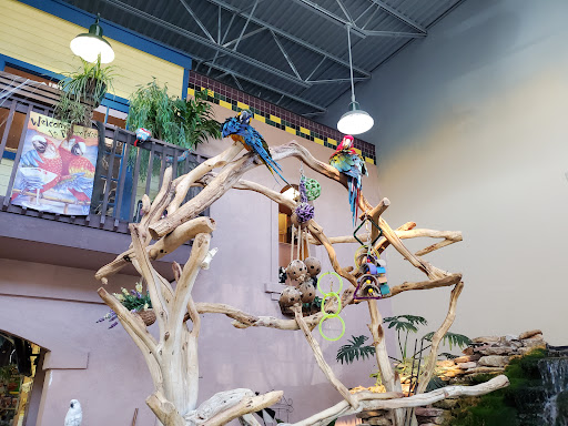 Pet Store «Pet Paradise Grooming», reviews and photos, 1115 Pueblo Blvd Way, Pueblo, CO 81005, USA