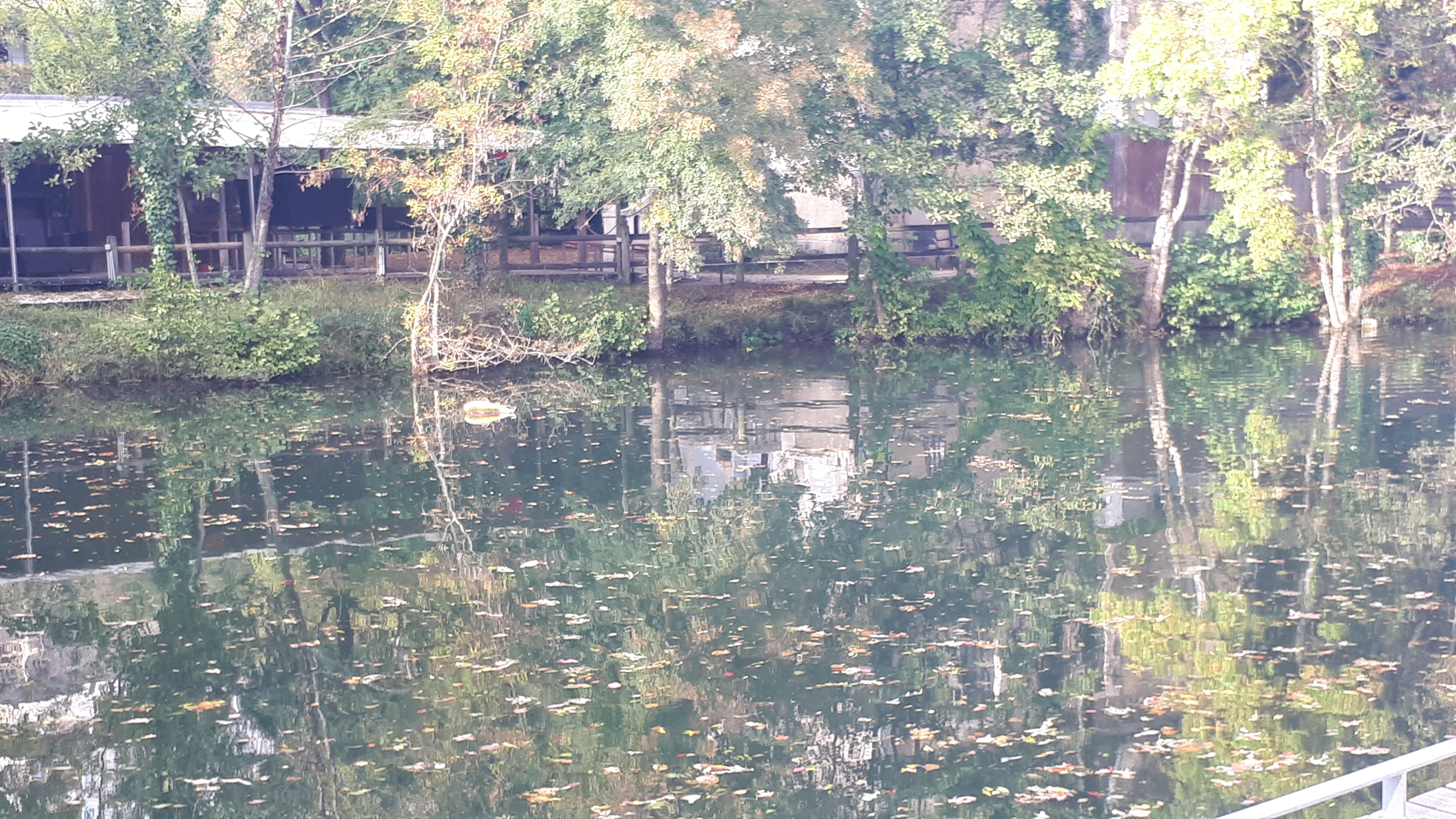 Photo n° 1 de l'avis de Delphine.e fait le 13/10/2018 à 20:08