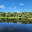 Wekiva River Canoe & Kayak Access