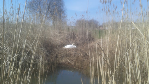 Golf Club «Winthrop Golf Club», reviews and photos, 453 Main St, Winthrop, MA 02152, USA