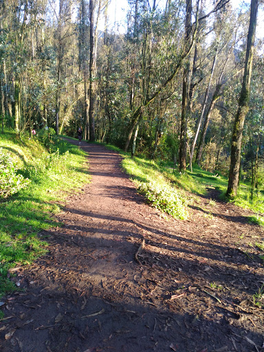 Parque De Miraflores