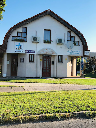 Értékelések erről a helyről: Béke Körúti Állategészségügyi Centrum, Dunaújváros - Állatorvos