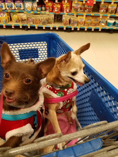 Pet Supply Store «PetSmart», reviews and photos, 21 Trader Ln, Williston, VT 05495, USA