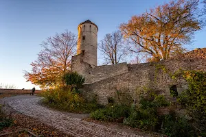 Burg Plesse image