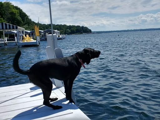 Boutique Hotel «Eleven Gables Inn and Cottage», reviews and photos, 493 Wrigley Dr, Lake Geneva, WI 53147, USA