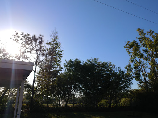 Nature Preserve «Koreshan Preserve», reviews and photos, 3891 Broadway W, Estero, FL 33928, USA