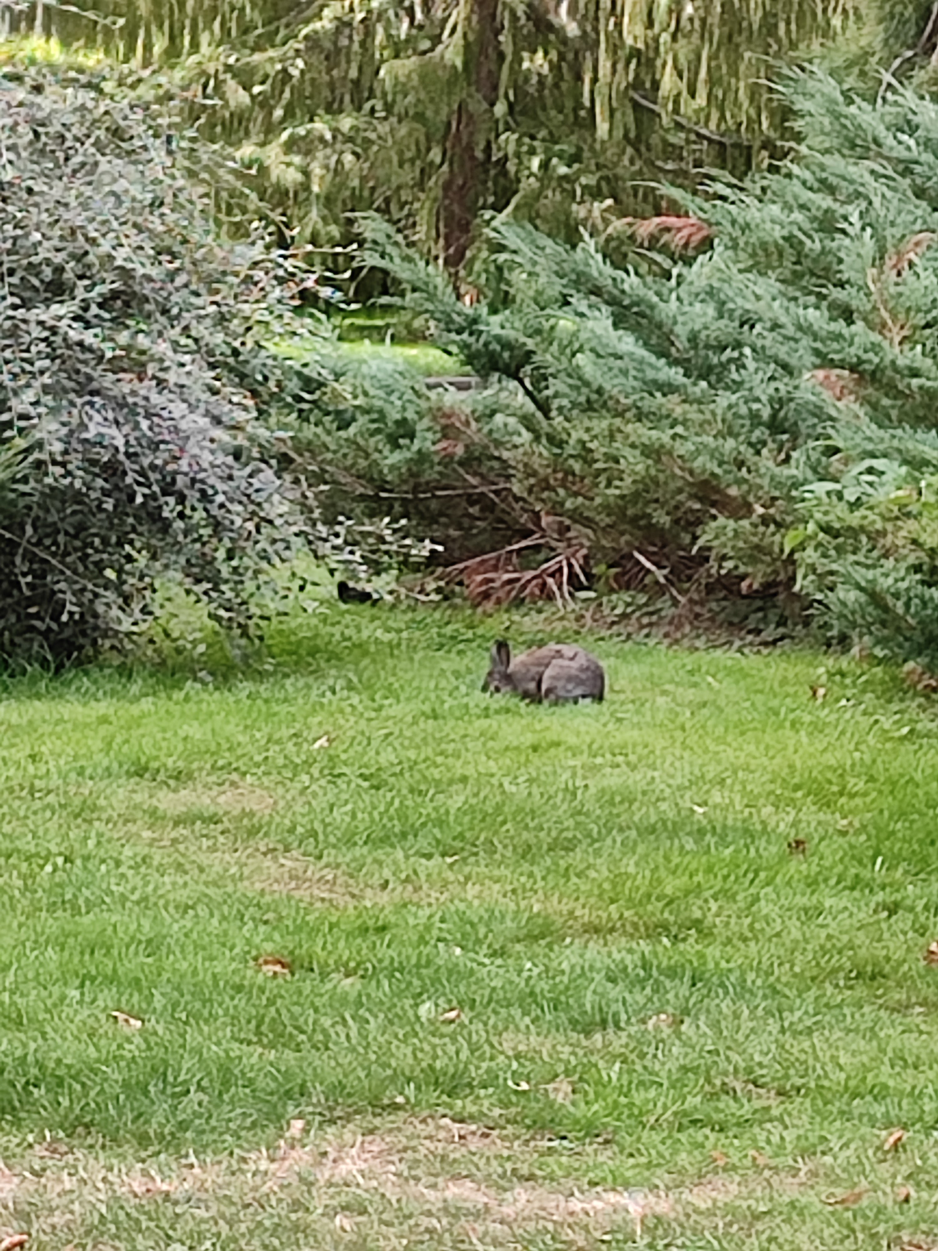 Photo n° 4 de l'avis de Melanie.a fait le 27/10/2023 à 15:10