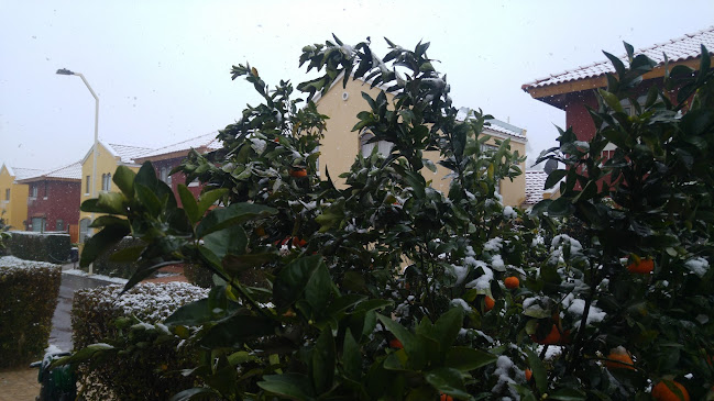 C. Valparaíso 1874, Los Andes, Calle Larga, Valparaíso, Chile