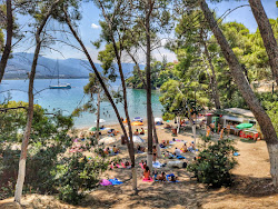 Photo de Love Bay avec un niveau de propreté de très propre
