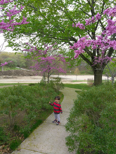 Park «Cass Park», reviews and photos, Cass Avenue, Woonsocket, RI 02895, USA