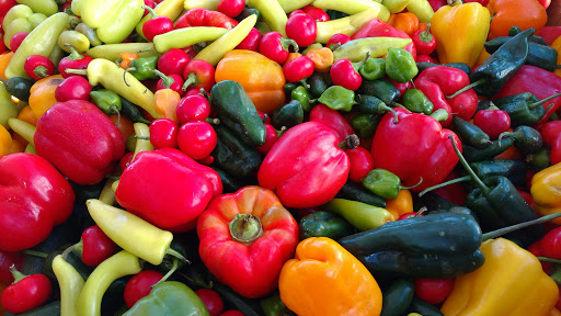 Community Health Programs Inc