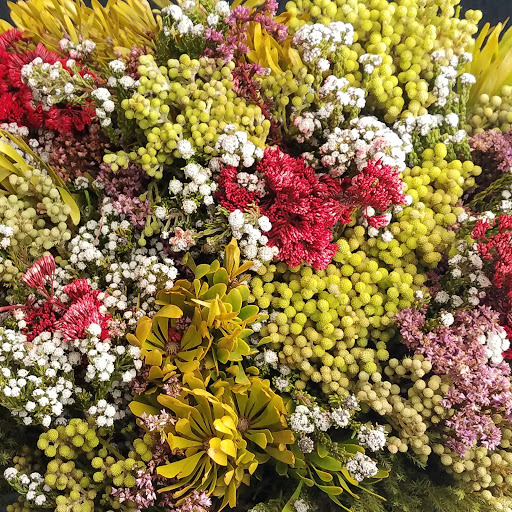 Florist «The JillTed Florist», reviews and photos, 1425 S Ft Harrison Ave, Clearwater, FL 33756, USA