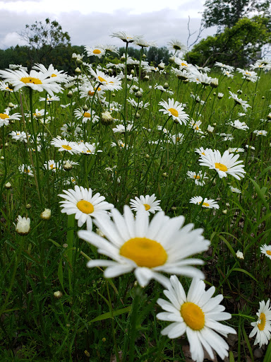 Nature Preserve «Times Beach Nature Preserve», reviews and photos, Coast Guard Station S Rd, Buffalo, NY 14203, USA