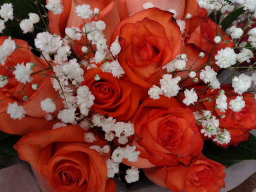 Grocery Store «Giant», reviews and photos, 1454 Chain Bridge Rd, McLean, VA 22101, USA