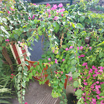 Photo n°12 de l'avis de Tania.o fait le 26/09/2021 à 20:36 sur le  Solar de Boaventura à Sao Vicente