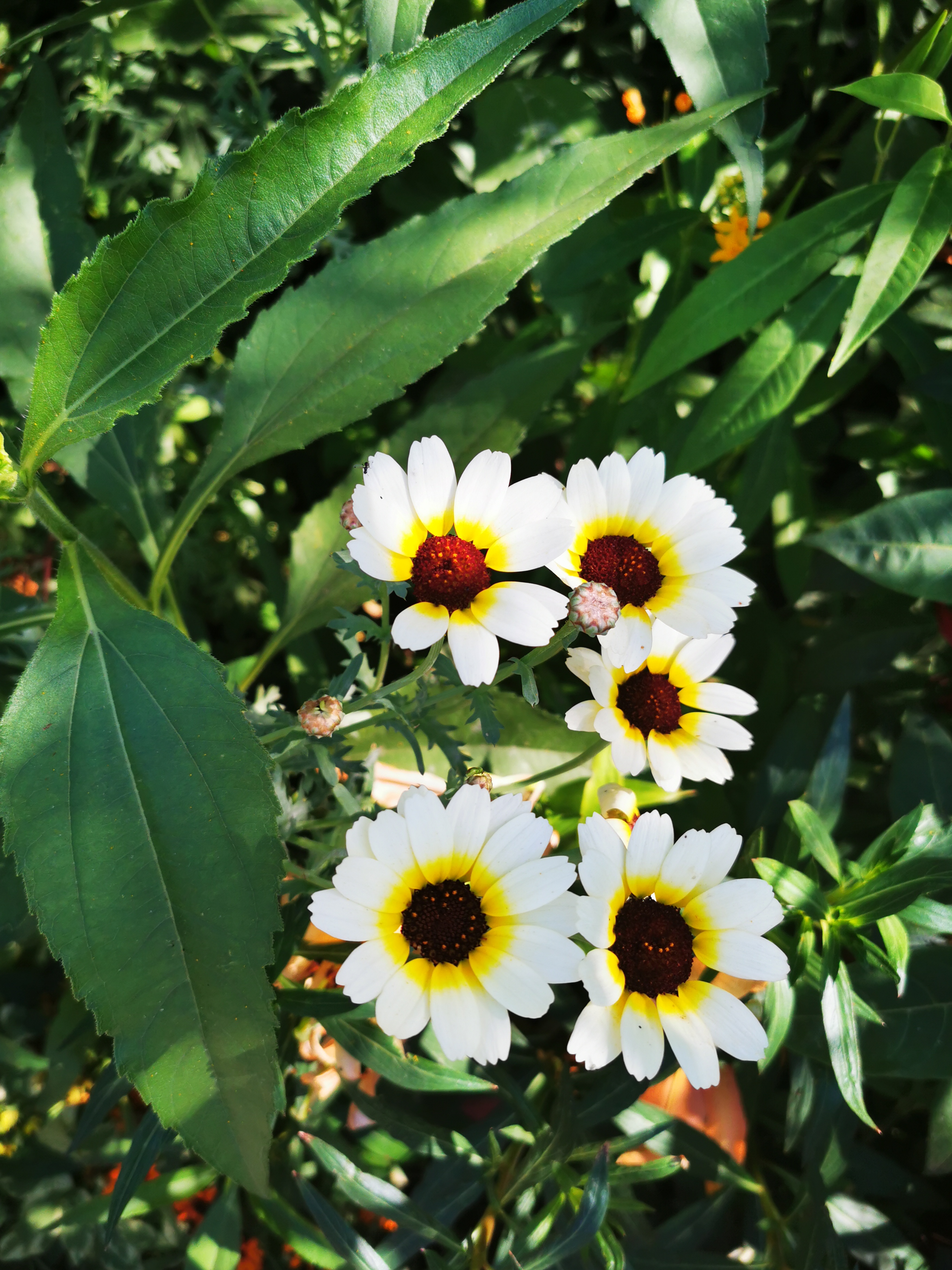 Photo n° 19 de l'avis de ASMA.A fait le 16/08/2022 à 18:29