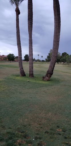 Golf Course «Sun City South Golf Course», reviews and photos, 11000 N 103rd Ave, Sun City, AZ 85351, USA