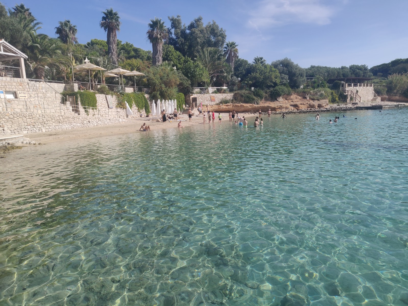 Foto av Palmizana Beach - bra husdjursvänlig plats för semester