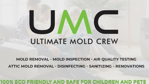 🏆 Ultimate Mold Crew - Mold Removal Toronto -