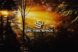 The VIBE Space image