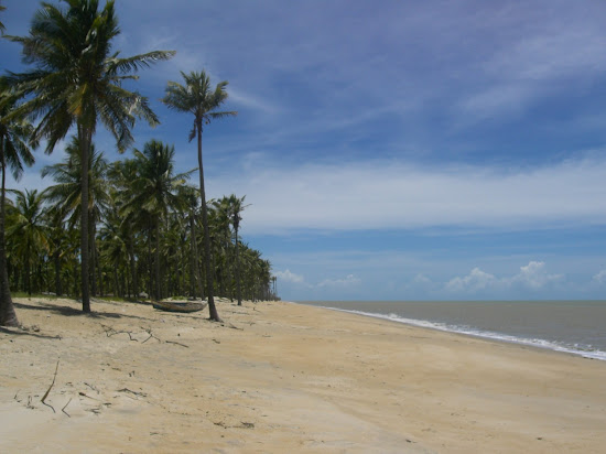Praia de Barra Velha