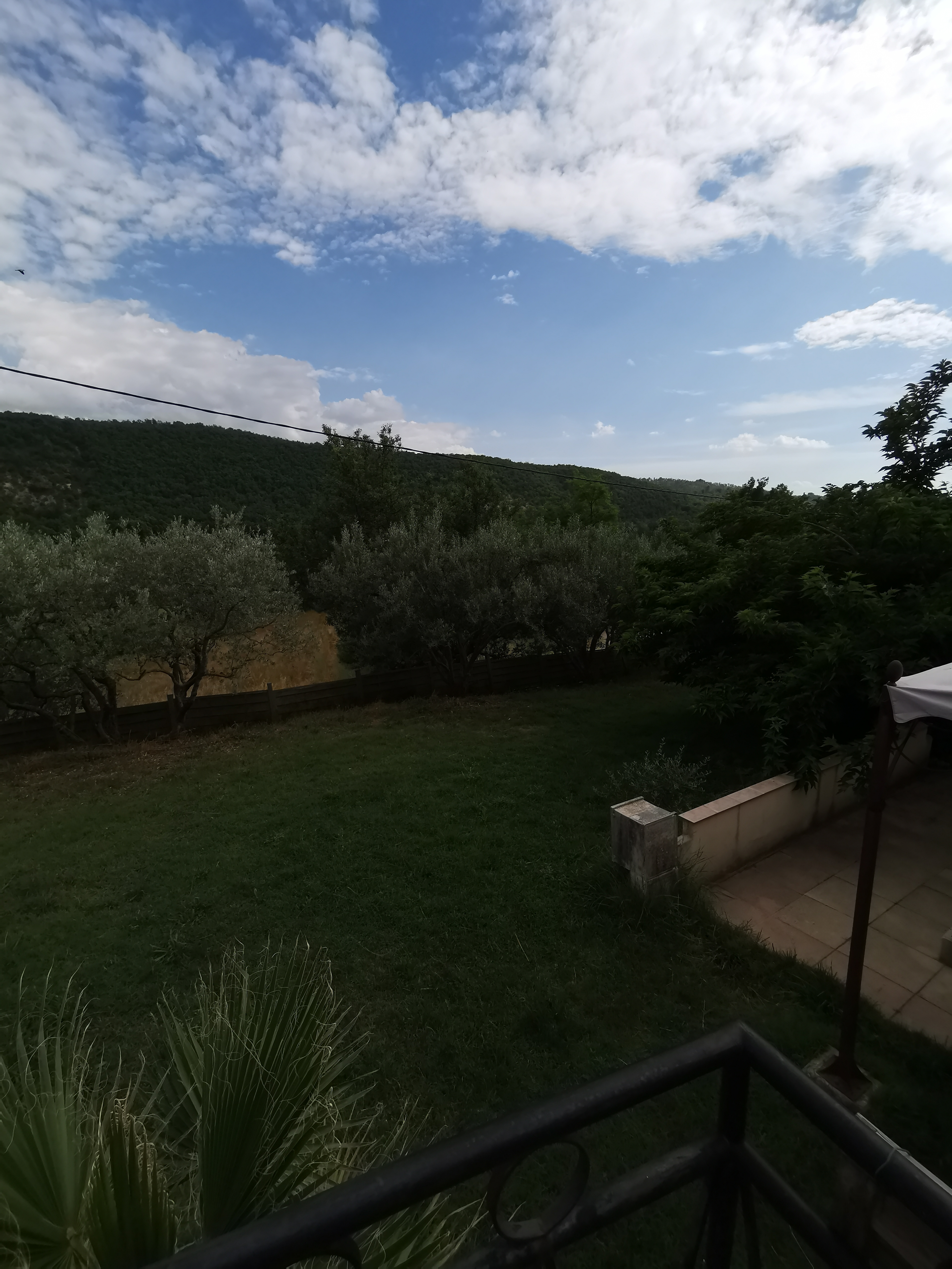 Photo n° 13 de l'avis de Lorand.a fait le 13/07/2019 à 18:11