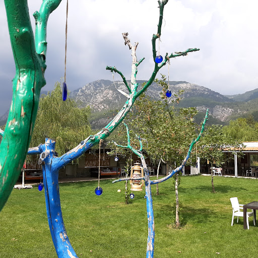 Yaraşhan Köy Kahvaltısı