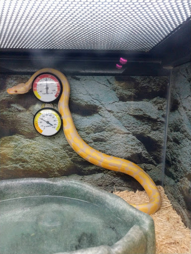 Pet Supply Store «Petco Animal Supplies», reviews and photos, 6720 Fox Centre Pkwy, Gloucester Courthouse, VA 23061, USA