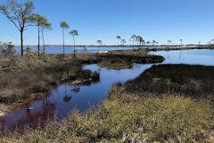 Bon Secour National Wildlife Refuge