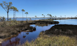 Bon Secour National Wildlife Refuge