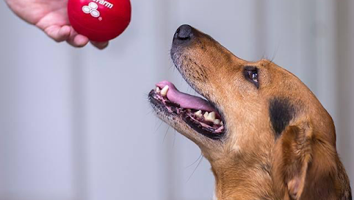 Insurance Agency «Joaquin Carrasquillo - State Farm Insurance Agent», reviews and photos