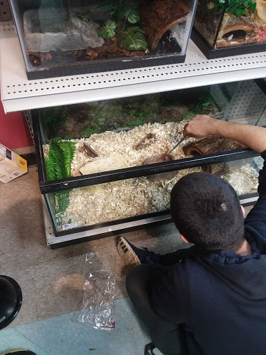 Shopping Mall «Sun Ray Shopping Center», reviews and photos, 2089 Old Hudson Rd, St Paul, MN 55119, USA