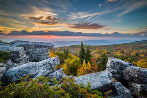 Dolly Sods image