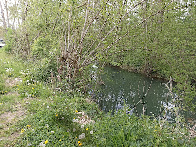 Le Moulin de Brise à Monthiers