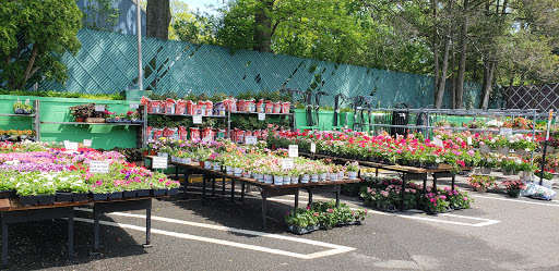 Florist «Metropolitan Plant & Flower», reviews and photos, 840 NJ-17, Paramus, NJ 07652, USA