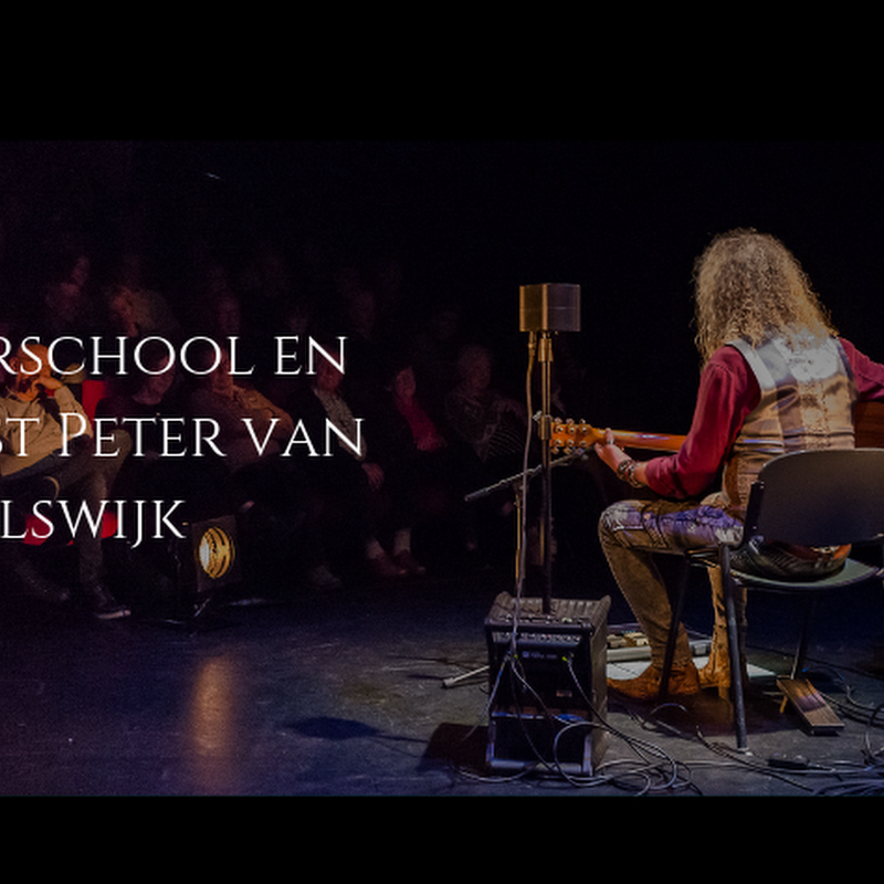 Gitaarschool Peter van Elswijk