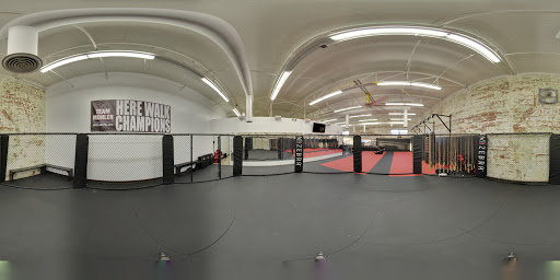 Martial arts gyms in Dallas