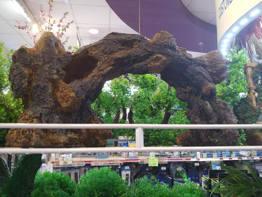 Pet Store «Fish-N-Pets Unlimited», reviews and photos, 11710 Bissonnet St, Houston, TX 77099, USA