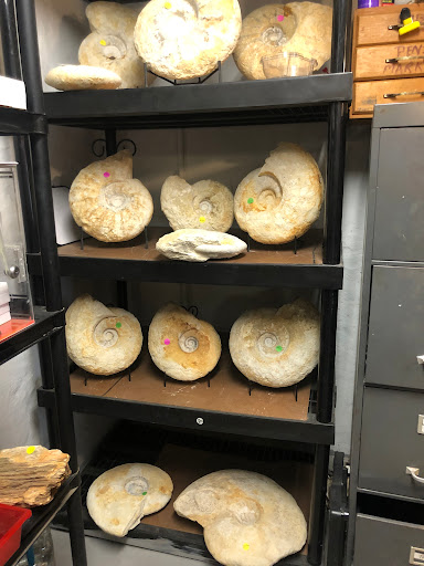 Gift Shop «Stone Hut Fossil Shop», reviews and photos, 1184 FM 205, Glen Rose, TX 76043, USA