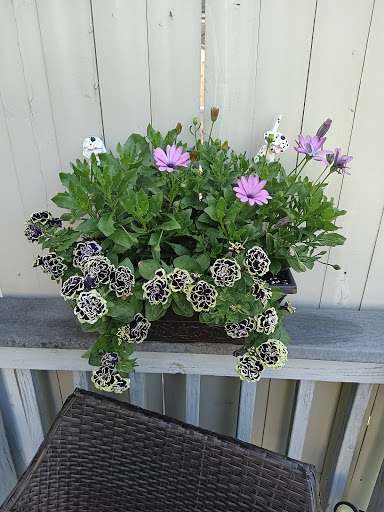 Garden Center «Seasons of New England Gardens & Gifts», reviews and photos, 479 Warwick Ave, Warwick, RI 02888, USA