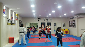 TAEKWONDO NIETO'S ACADEMIA