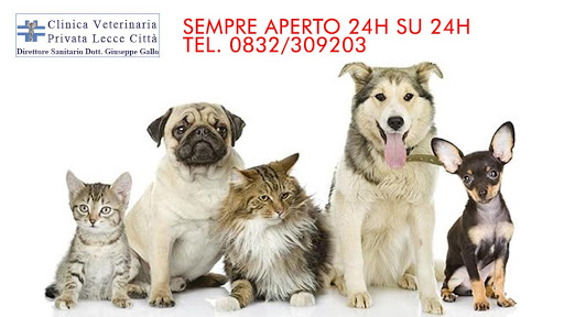 Pensioni per cani e dog hotel a Clinica Veterinaria Privata Lecce Citt Pronto Soccorso 24 Ore